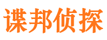 成武市私家侦探